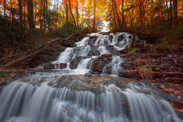 istock Vogel State Park, Georgia, USA During Autum 1353429695