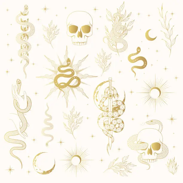 Vector illustration of Hand drawn gold celestial and floral snakes collection. Golden mystical vector isolated set for  t-shirt design, fabric, covers and cards.