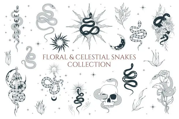 Vector illustration of Floral and Celestial snakes collection. Vector isolated set of mystical witchy elements for tattoo,  t-shirt design, fabric.