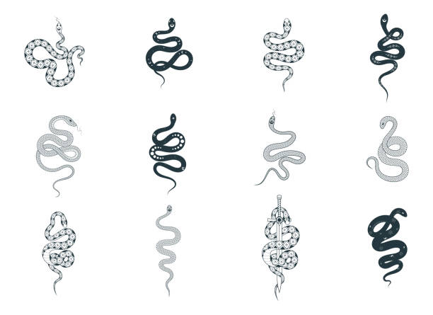 Hand drawn esoteric snakes set. Mystical witchy elements. Spiritual vector illustration for for design of t-shirts, fabrics, tattoo, cards and covers. vector art illustration