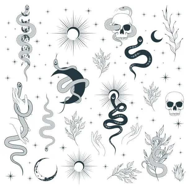 Vector illustration of Hand drawn сelestial snakes and flowers collection. Mystical witchy vector isolated set for tattoo,  t-shirt design, fabric.