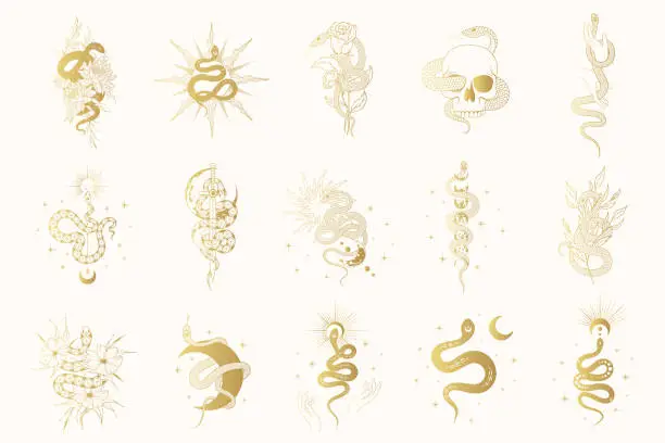 Vector illustration of Hand drawn isolated set with gold celestial and floral snakes for witchcraft. Golden vector mystical and spiritual collection for t-shirt design, fabric, covers and cards.