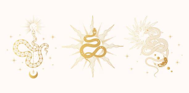 A set of three golden vector celestial snake prints with moon, sun, stars and plants. Mystical and spiritual witchcraft gold backgrounds for t-shirt designs, covers, fabric and cards. vector art illustration