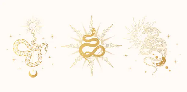 Vector illustration of A set of three golden vector celestial snake prints with moon, sun, stars and plants. Mystical and spiritual witchcraft gold backgrounds for t-shirt designs, covers, fabric and cards.