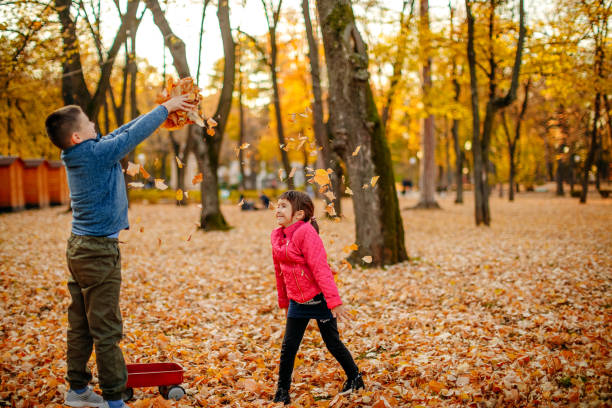 istock Kids playing in public park in Autumn 1353430311