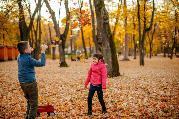istock Kids playing in public park in Autumn 1353430317