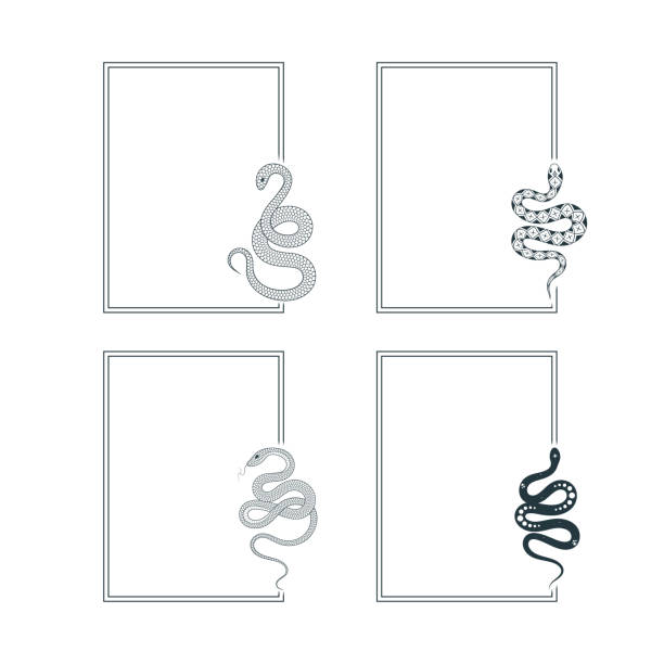 Snake Pattern Border 160+ How To Draw Snake Skin Backgrounds Stock Illustrations, Royalty ...