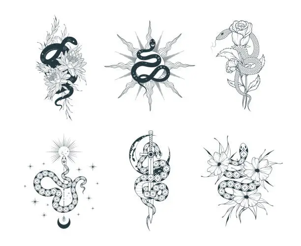 Vector illustration of Hand drawn celestial floral snakes prints. Mystical collection for tattoo,  t-shirt design, fabric and coloring pages.