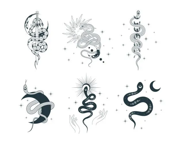 Vector illustration of Hand drawn isolated set of six illustrations with mystical and spiritual serpents with stars, moon and sun. Celestial floral snakes prints for tattoo,  t-shirt design, fabric.