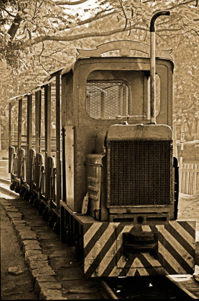 istock Vintage Sightseeing Toy train inside Nehru Zoological Park 1353431514
