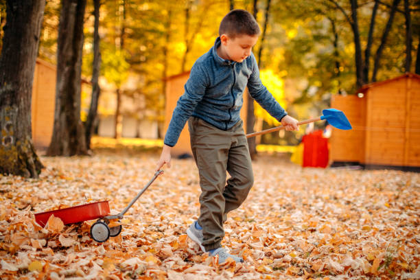 istock Kids playing in public park in Autumn 1353431606