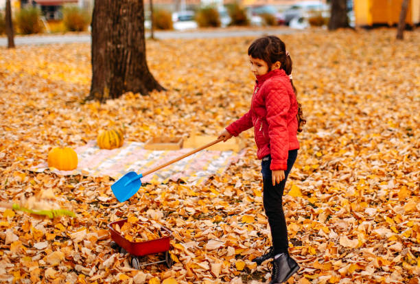 istock Kids playing in public park in Autumn 1353431628