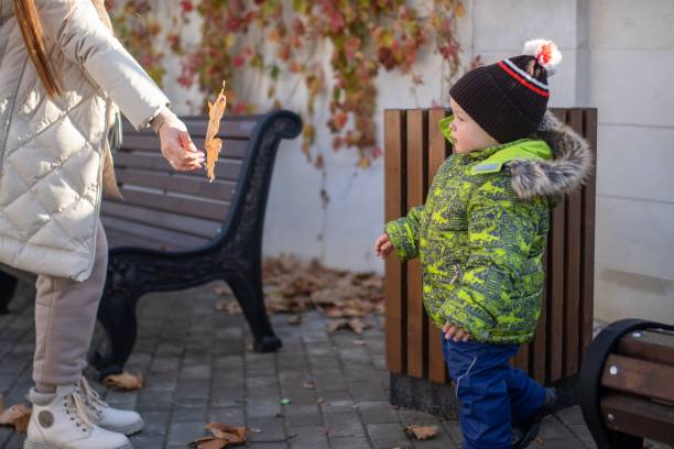 istock a boy child cries on a walk in a stroller 1353434871