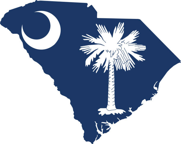 미국 사우스캐롤라이나 주 국기지도 - south carolina flag interface icons symbol stock illustrations