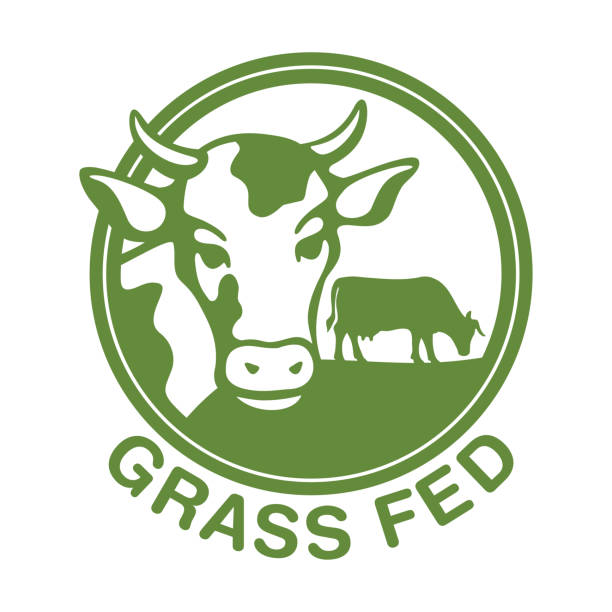 Grass-fed decorative badge for beef labeling Grass-fed flat decorative sticker for beef labeling - cow chewing grass in circular stamp. Isolated vector emblem grass fed stock illustrations