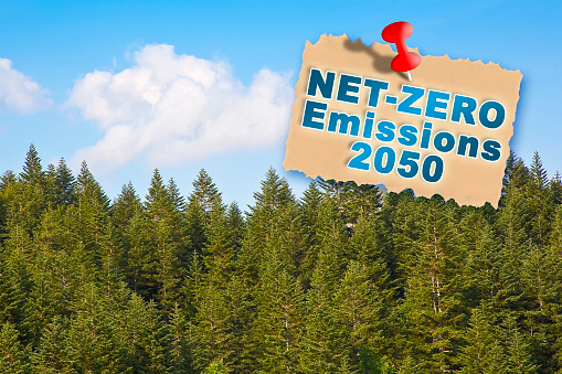 European Union sets new climate law: net-zero emissions are now a target for 2050 - Carbon Neutrality concept against a woodland background