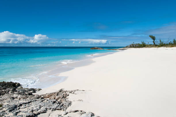 istock Half Moon Cay Uninhabited Island Beach 1353438849
