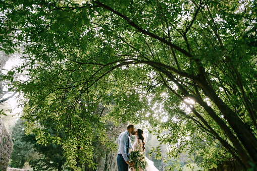 The bride and groom stand kissing under lush bush in the olive grove . High quality photo
