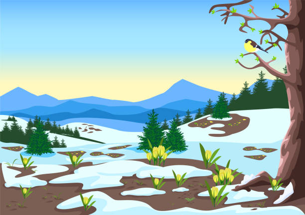 spring landscape Spring landscape with mountains, forest, glades, melting snow and yellow crocuses. Beautiful spring background illustration. Vector spring flower mountain landscape stock illustrations