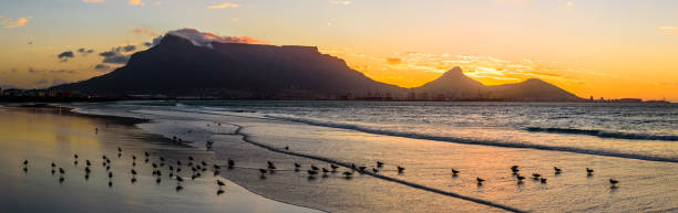 um belo pôr do sol sobre a montanha table na áfrica do sul a partir da praia da lagoa. - milnerton - fotografias e filmes do acervo