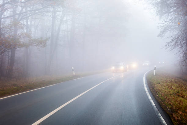 istock Autumnal road through forest - fog 1353443367