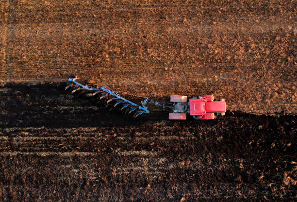 istock Tractor with Plough on Plowed. Ploughing and Soil Tillage. 1353443368