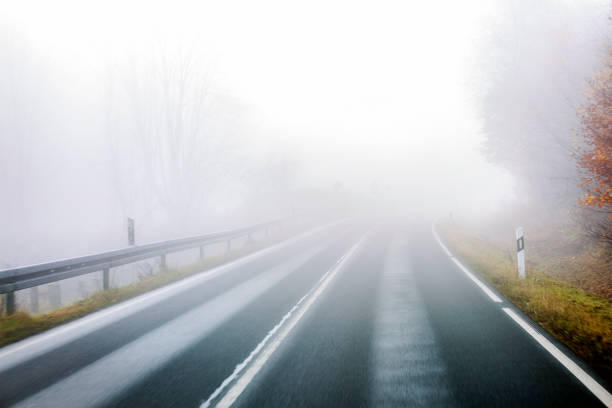 istock Autumnal road through forest - fog 1353443379