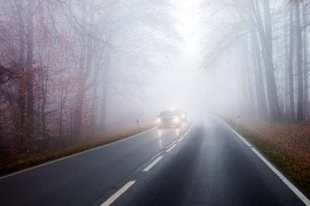 istock Autumnal road through forest - fog 1353443410