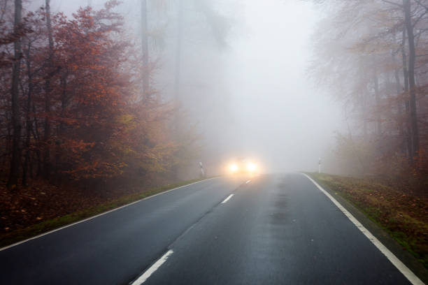 istock Autumnal road through forest - fog 1353443430