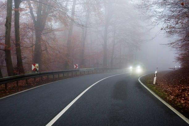 istock Autumnal road through forest - fog 1353443478