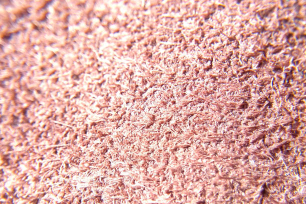 The texture of the carpet in the sun close-up blurred background stock photo