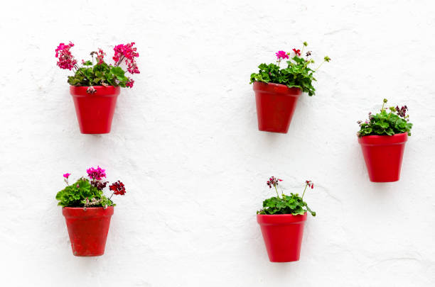 istock Typical Andalusian white house, Marbella 1353444312