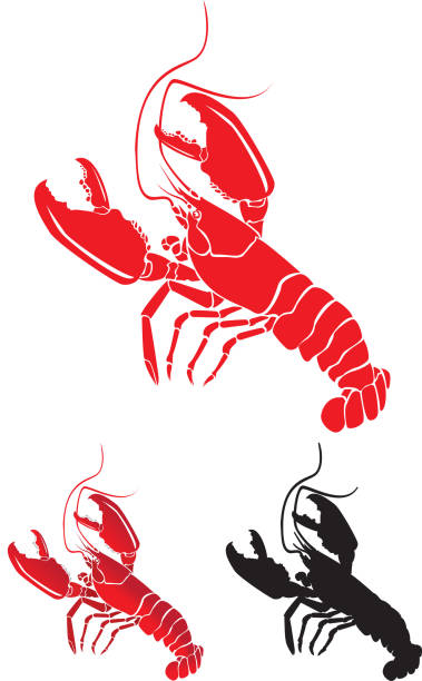 Lobsters with Large Claws, detailed and Silhouette vector art illustration