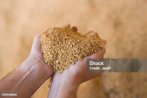 Closeup Of Handful Of Soybean Hulls In Male Hands Stock Photo - Download Image Now - Soybean, Hull, Animal Husbandry