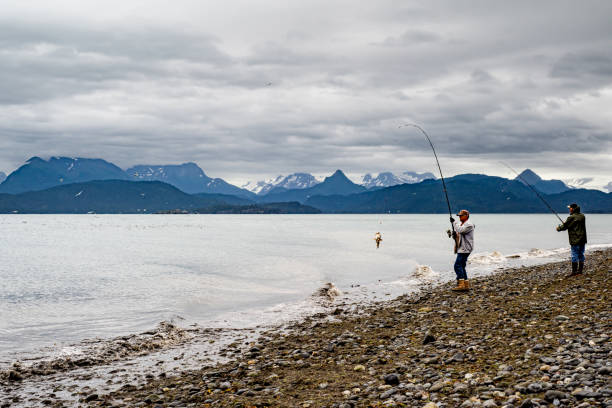 a pesca é uma das principais atrações turísticas em homer spit e kenai área do alasca - homer - fotografias e filmes do acervo