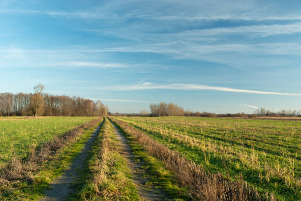 istock A dirt road through farmland and a clear sky 1353452812
