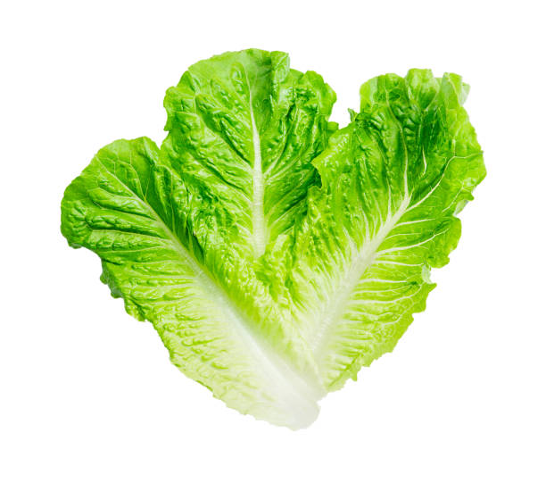istock Fresh lettuce leaves close-up isolated on a white background. 1353453917