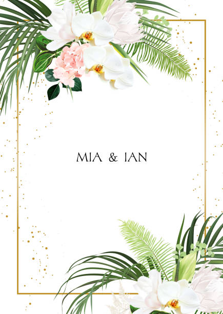 illustrazioni stock, clip art, cartoni animati e icone di tendenza di fiori tropicali e foglie carta di progettazione vettoriale - magnolia flower beige white