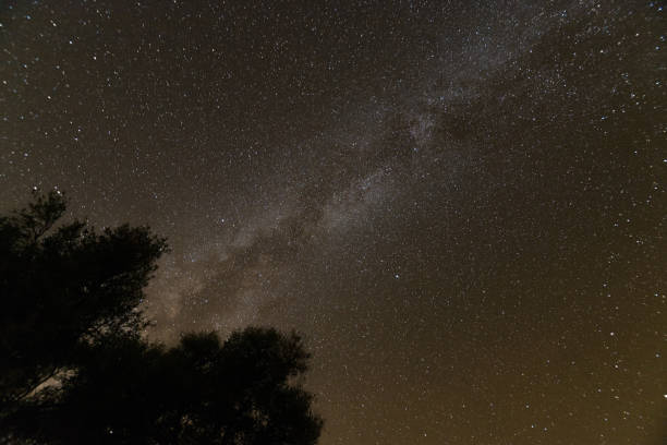 istock Night sky in the Big Bend National Park 1353455179