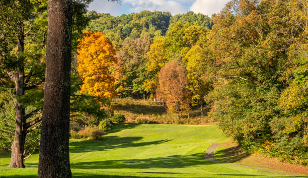 istock Autumn Colors in North Carolina 1353456732