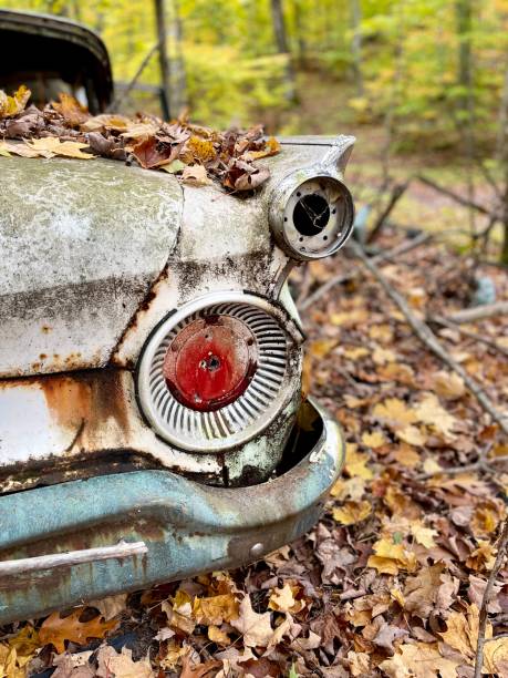 istock Old Vehicle Abandoned in the the Wooded Forest 1353456986