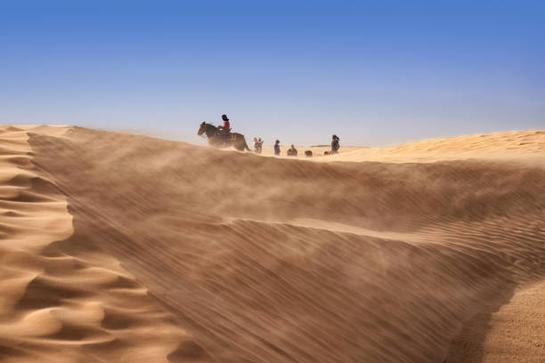 강한 바람이 부는 사하라 사막에서 낙타를 타는 관광객의 모습 - dubai united arab emirates traditional culture camel 뉴스 사진 이미지