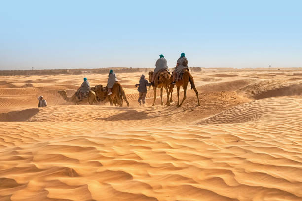 강한 바람이 부는 사하라 사막에서 낙타를 타는 관광객의 모습 - dubai united arab emirates traditional culture camel 뉴스 사진 이미지