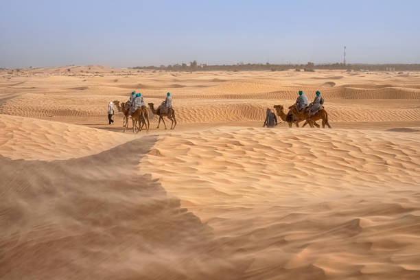 강한 바람이 부는 사하라 사막에서 낙타를 타는 관광객의 모습 - dubai united arab emirates traditional culture camel 뉴스 사진 이미지