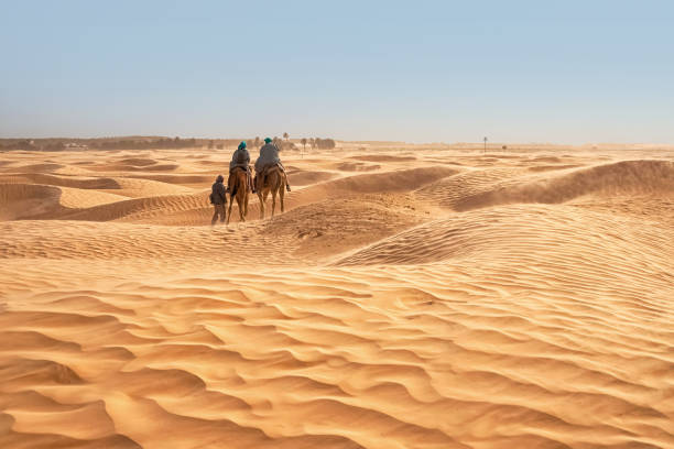 view of tourists who ride camels in the sahara desert during strong winds - journey camel travel desert imagens e fotografias de stock