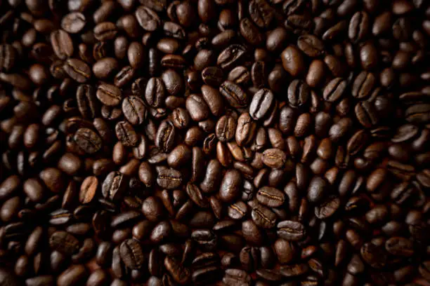 Photo of Fresh Roasted Coffee Beans in a pile on a rustic background