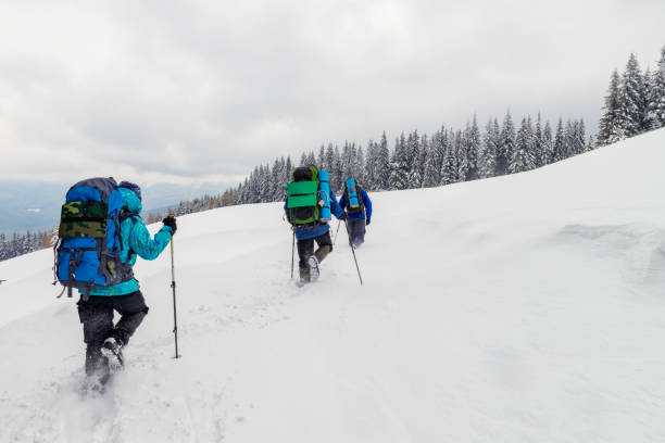 istock Group of hikers explore the wild mountain terrain in the deep snow. 1353459950