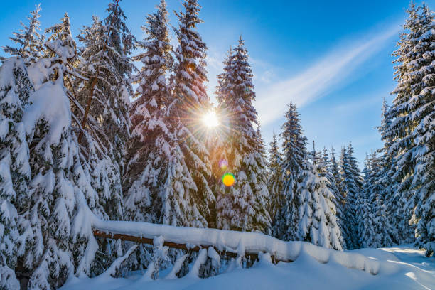 istock Winter fairytale landscape 1353459951