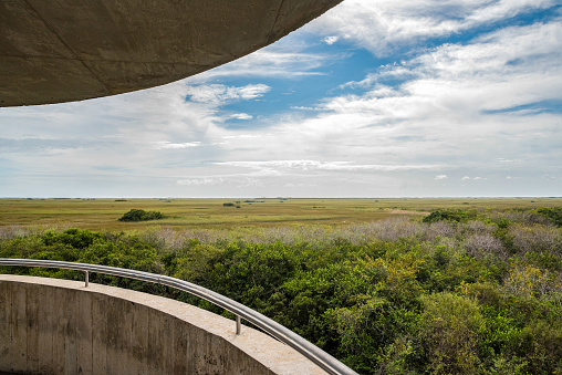 Panoramic view of the Everglades from the Shark Valley Observation Tower, USA
