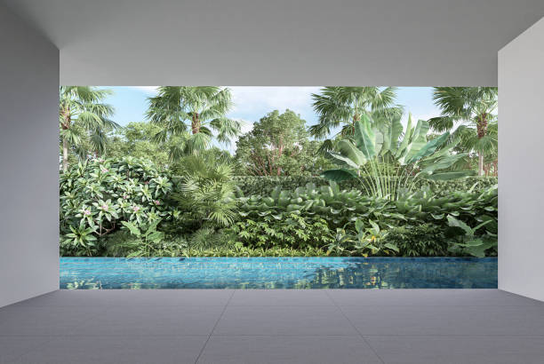 istock Empty swimming pool terrace with tropical style garden background 3d render 1353461047